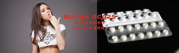 дживик Балахна