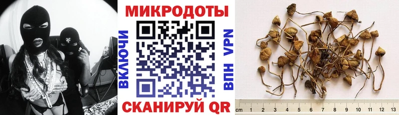 МЕГА как зайти  Лакинск  Псилоцибиновые грибы Magic Shrooms 