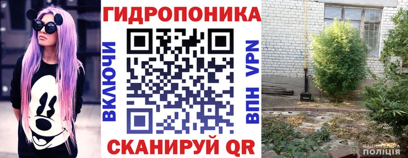 Бошки Шишки конопля  MEGA tor  Лакинск 